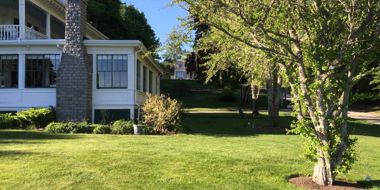 Summer Lawn Care in Maine: Managing Heat, Dry Spells, and Foot Traffic