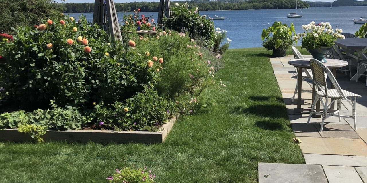 How a Well-Maintained Lawn Makes Your Hardscape Look Better