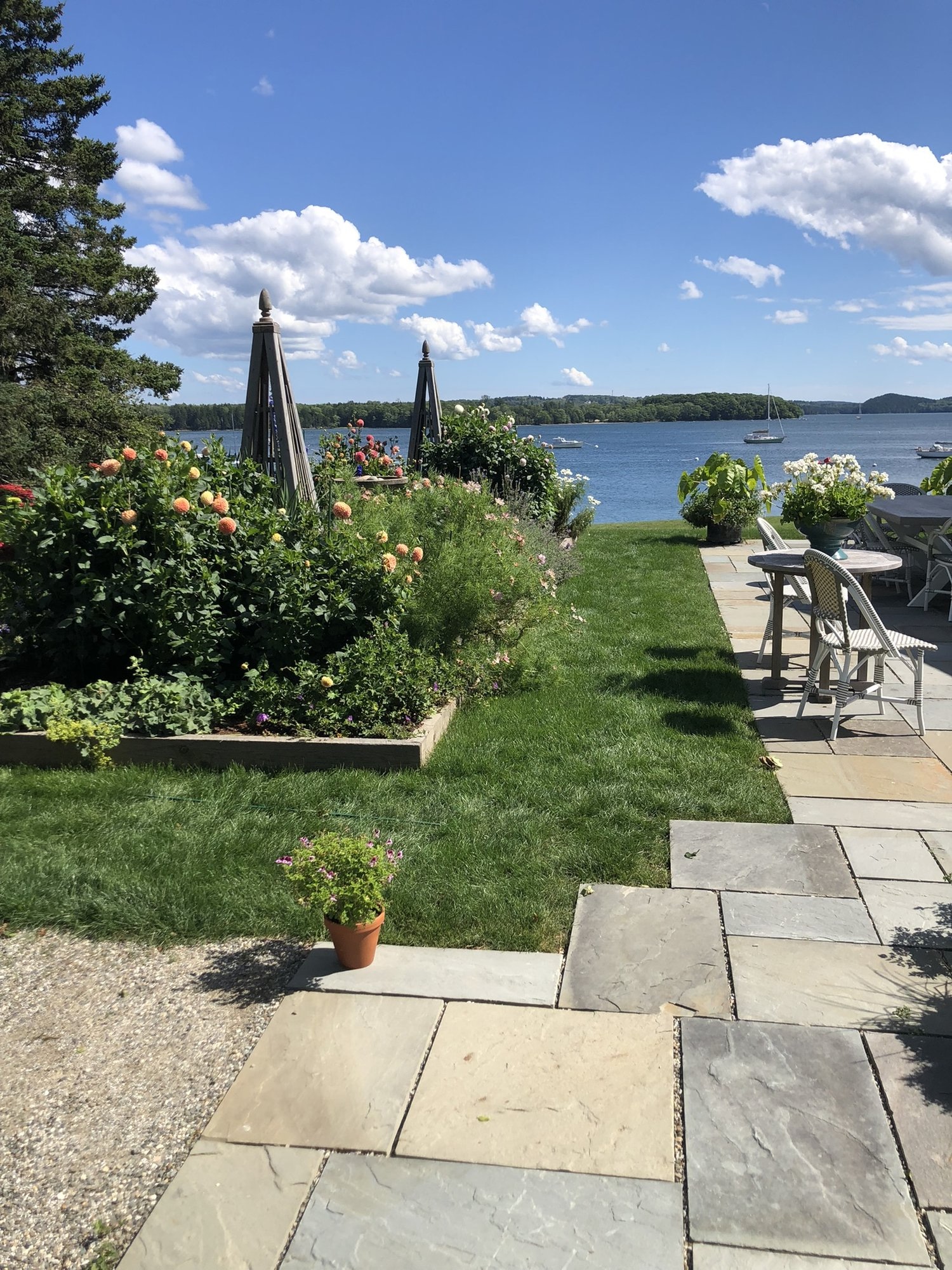 NEW LAWN SEEDING