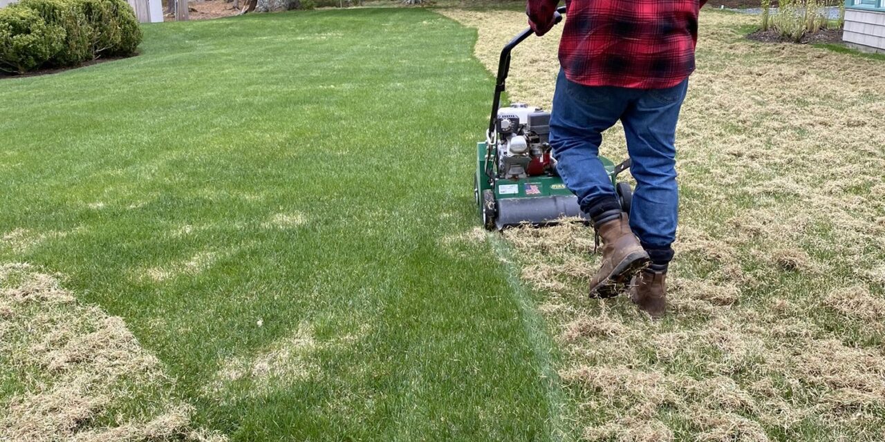 De-Thatching Your Maine Lawn: How to Tell If You Have a Thatch Problem