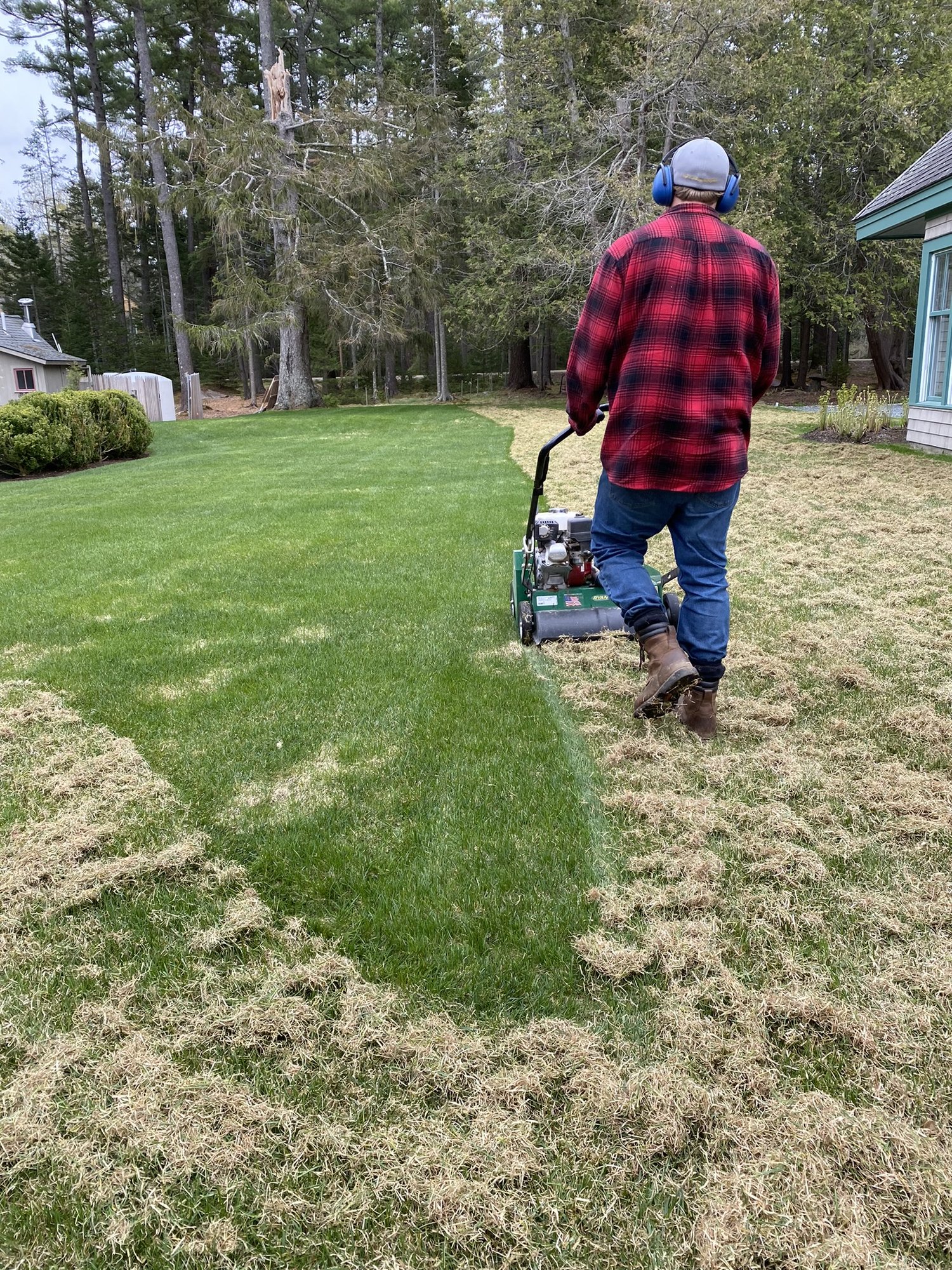 LAWN DE-THATCHING